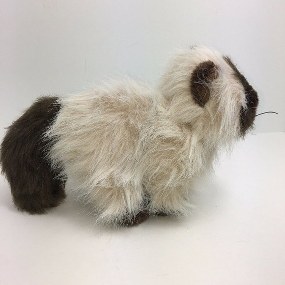 Ganz Webkinz Himalayan Cat 8" Plush Long Hair White Brown No Code Kitten - Picture 7 of 12